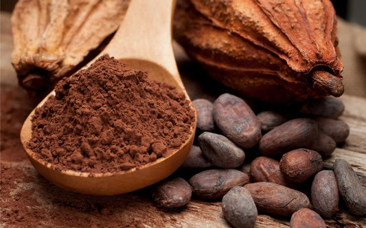 POUDRE DE CACAO 100% SANS SUCRE
